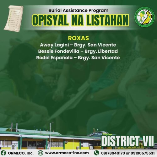 d7_Roxas