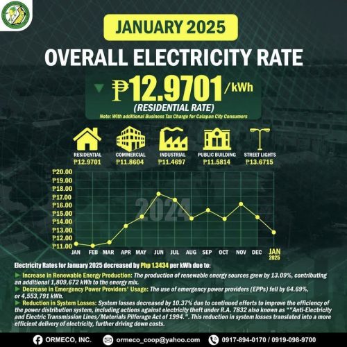 for the Month of January 2025